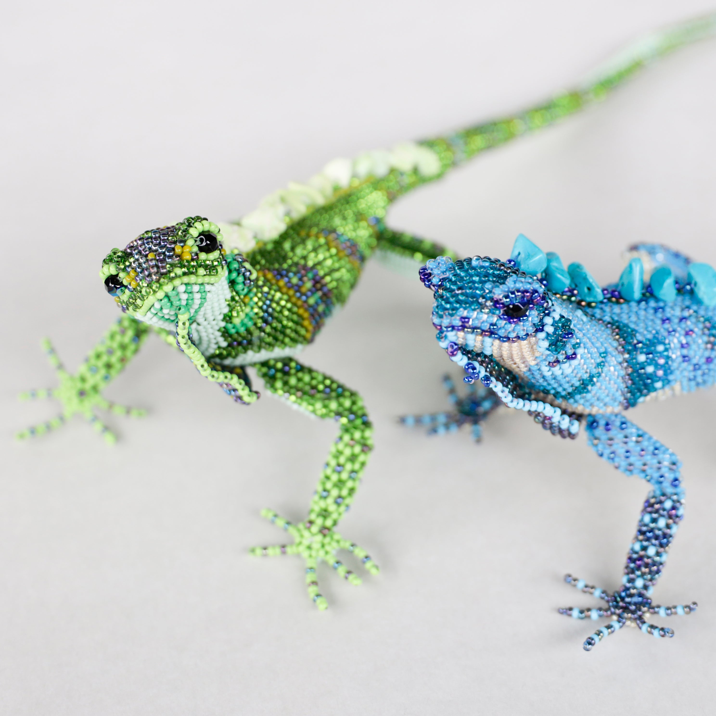 洋書　グリーンイグアナ　IGUANAS QUARTERY 61BlhzAt3CL._UF1000,1000_QL80_.jpg