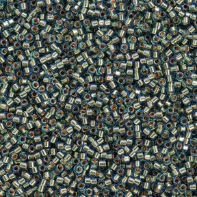 Delica Beads　2500～2599