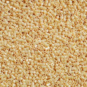 Delica Beads【DBS】　1400～1999