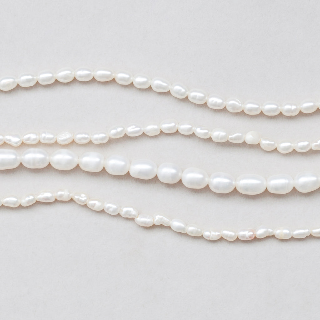rice-white-all_1024x.jpg?v= 