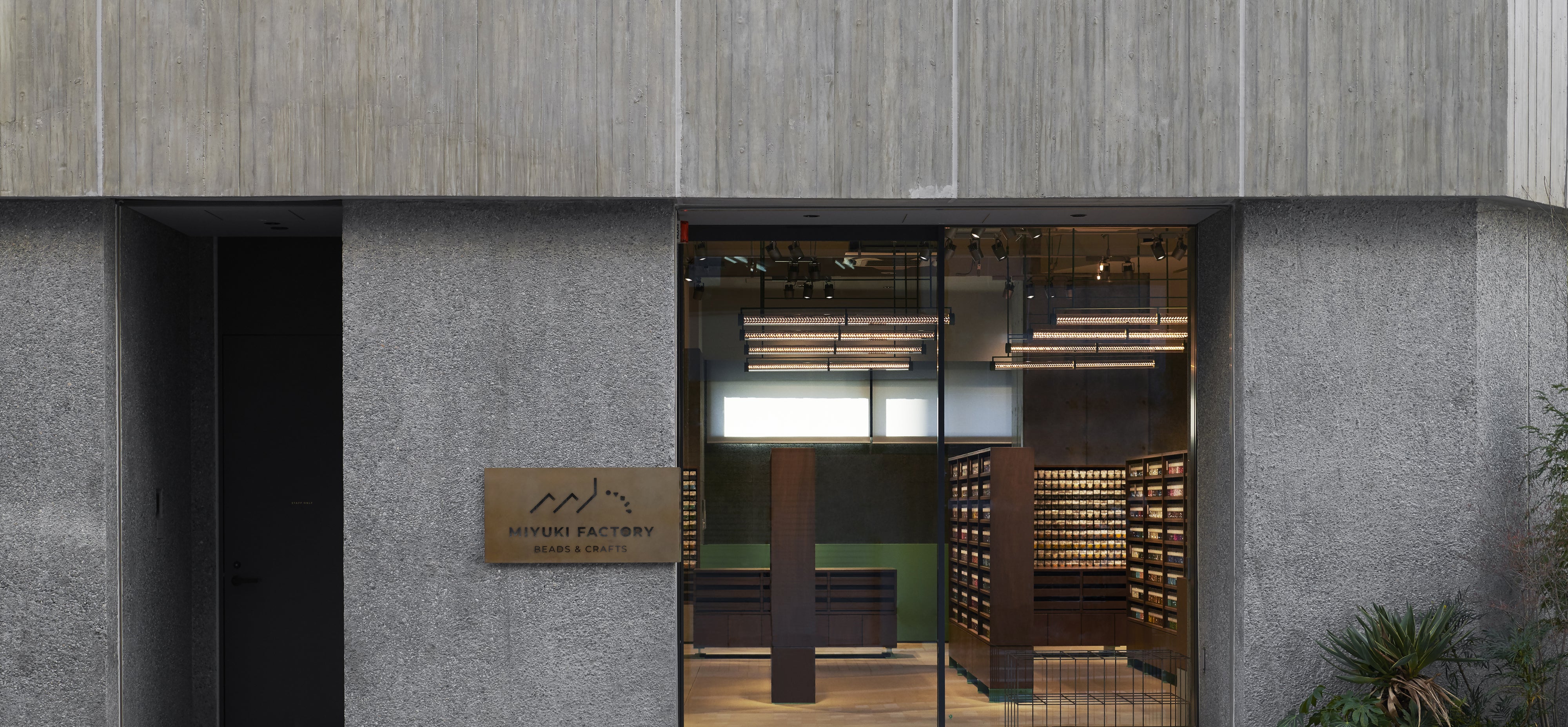 top-head-1_l.jpg?v=1654205469&