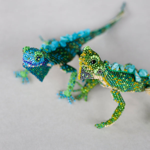 リアルイグアナ レイアウト用品 Bunny's 約50cm iguana2.jpg